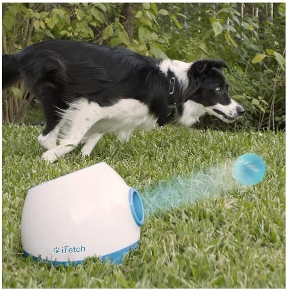 top dog toys